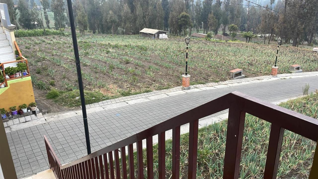 Bromo Semesta Guesthouse プロボリンゴ エクステリア 写真