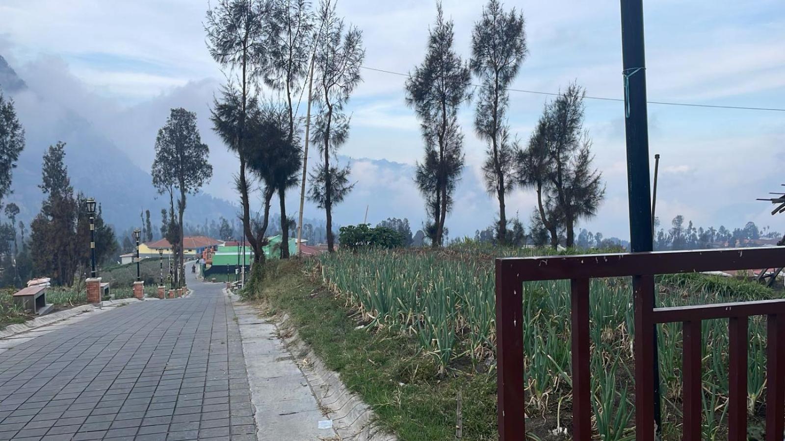 Bromo Semesta Guesthouse プロボリンゴ エクステリア 写真